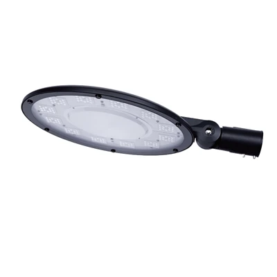 100W Led puutarhavalo